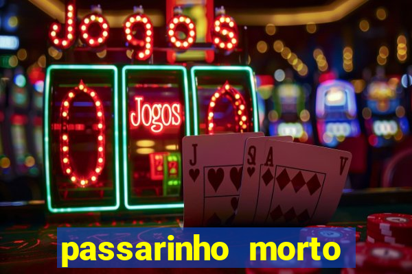 passarinho morto significado espiritual