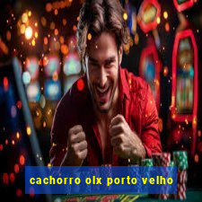 cachorro olx porto velho
