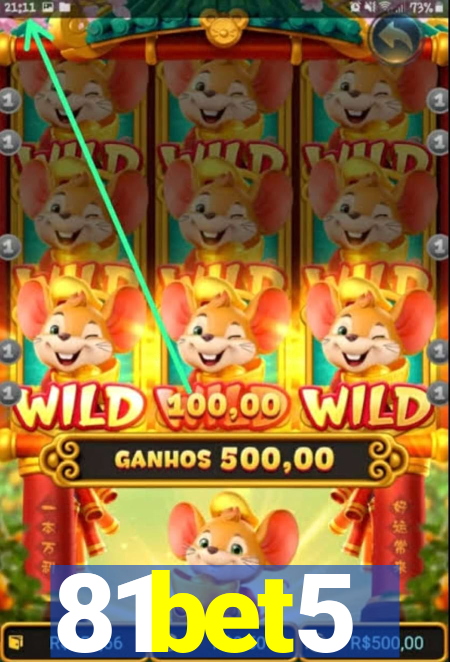 81bet5
